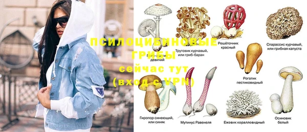 крисы Алексеевка